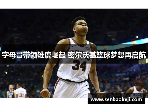 字母哥带领雄鹿崛起 密尔沃基篮球梦想再启航
