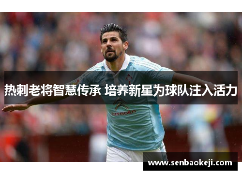 热刺老将智慧传承 培养新星为球队注入活力
